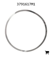 AGCO 3791617M1 Регулировочная шайба