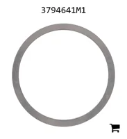AGCO 3794641M1 Регулировочная шайба