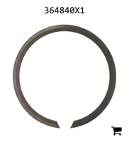 AGCO 364840X1 Кольцо