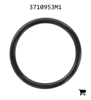 AGCO 3710953M1 Уплотнительное кольцо