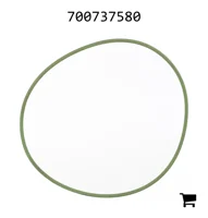 AGCO 700737580 Уплотнительное кольцо