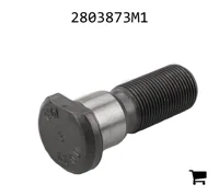 AGCO 2803873M1 Болт