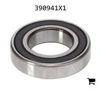 AGCO 390941X1 Цилиндрический шариковый подшипник