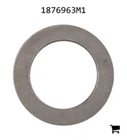 AGCO 1876963M1 Шайба