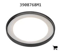 AGCO 3908768M1 Уплотнения