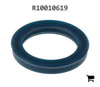 AGCO R10010619 Уплотнение