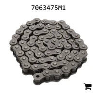 AGCO 7063475M1 Цепь AGCO Parts