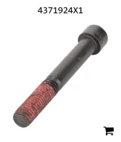 AGCO 4371924X1 Винт с цилиндрической головкой и шестигранным углублением