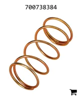 AGCO 700738384 Пружина сжатия