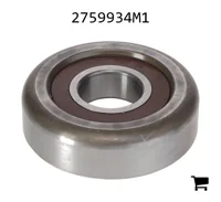 AGCO 2759934M1 Цилиндрический шариковый подшипник