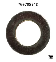 AGCO 700708548 Шайба