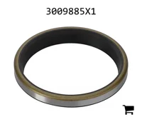 AGCO 3009885X1 Уплотнительное кольцо скребка