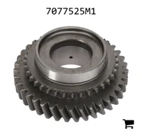 AGCO 7077525M1 Шестерня цилиндрическая косозубая