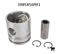 AGCO 3905856M91 Поршень