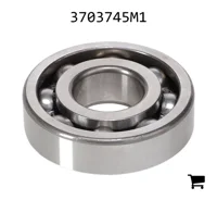 AGCO 3703745M1 Шариковый подшипник