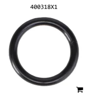 AGCO 400318X1 Уплотнительное кольцо