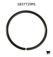 AGCO 1037729M1 Кольцо