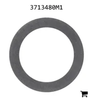 AGCO 3713480M1 Регулировочная шайба