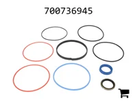 AGCO 700736945 Ремкомплект