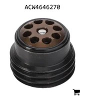 AGCO ACW4646270 Обратный клапан