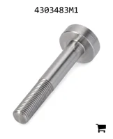 AGCO 4303483M1 Винт