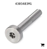 AGCO 4303483M1 Винт