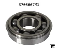 AGCO 3705667M1 Подшипник защелки