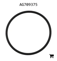 AGCO AG709375 Уплотнительное кольцо