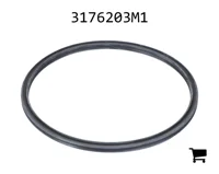 AGCO 3176203M1 Кольцо