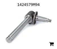 AGCO 1424579M94 Поворотный кулак