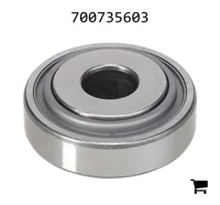 AGCO 700735603 Цилиндрический подшипник