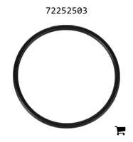 AGCO 72252503 Уплотнительное кольцо