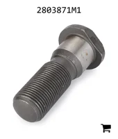 AGCO 2803871M1 Болт