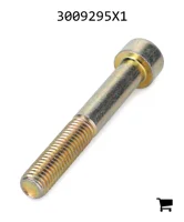 AGCO 3009295X1 Винт с цилиндрической головкой и шестигранным углублением