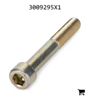 AGCO 3009295X1 Винт с цилиндрической головкой и шестигранным углублением