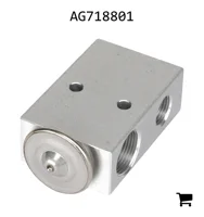 AGCO AG718801 Расширительный клапан