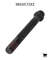 AGCO 3016572X1 Винт с 12-гранной головкой с фланцем