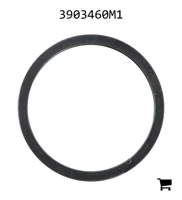 AGCO 3903460M1 Кольцо