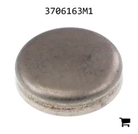 AGCO 3706163M1 Стакан