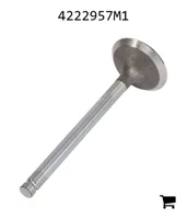 AGCO 4222957M1 Выпускной клапан