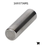 AGCO 1693736M1 Иголка