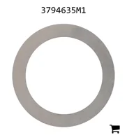 AGCO 3794635M1 Шайба