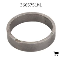 AGCO 3665751M1 Проставочная втулка
