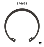 AGCO EP6693 Кольцо