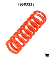 AGCO 70503213 Пружина