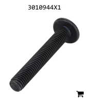 AGCO 3010944X1 Винт с полукруглой головкой