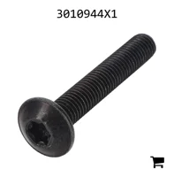 AGCO 3010944X1 Винт с полукруглой головкой