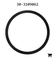 AGCO 30-3109062 Опорное кольцо