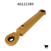 AGCO AG122389 Гидроцилиндр