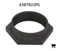 AGCO 4307022M1 Специальная гайка